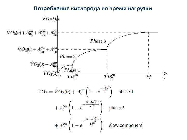 Потребление кислорода во время нагрузки 