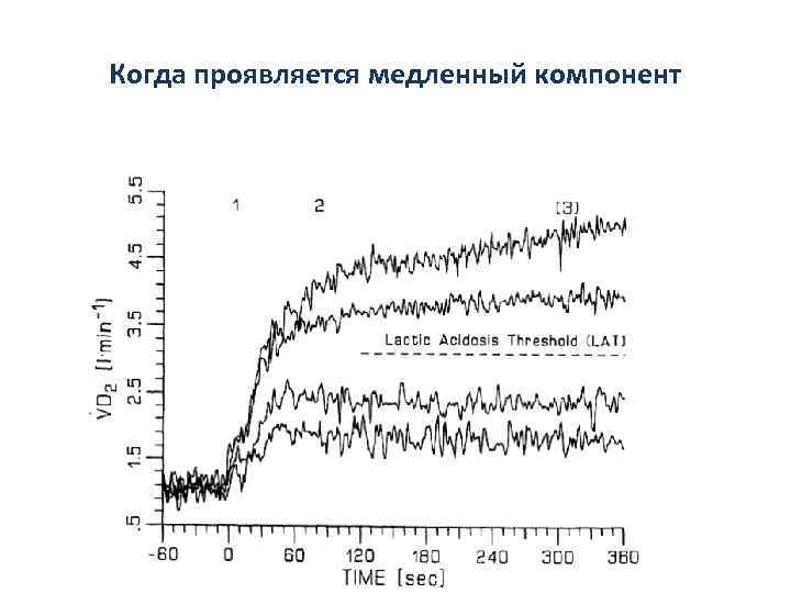 Когда проявляется медленный компонент 