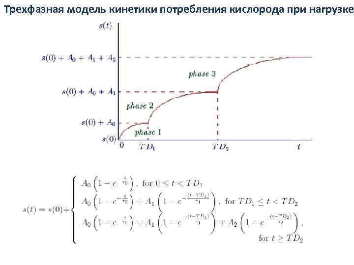 Трехфазная модель кинетики потребления кислорода при нагрузке 