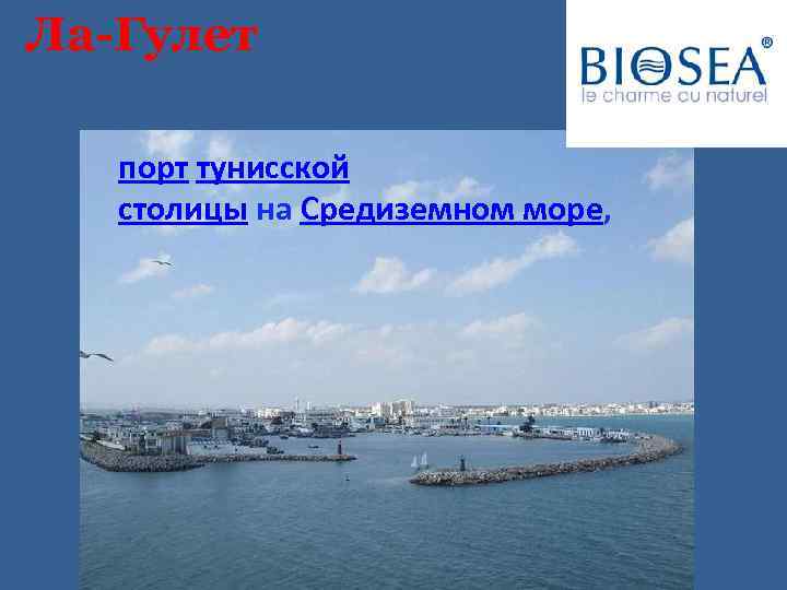 Ла-Гулет порт тунисской столицы на Средиземном море, 