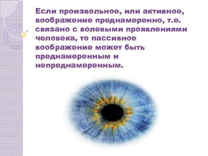 Если произвольное, или активное, воображение преднамеренно, т. е. связано с волевыми проявлениями человека, то