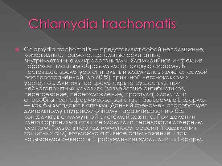 Chlamydia trachomatis — представляют собой неподвижные, кокковидные, грамотрицательные облигатные внутриклеточные микроорганизмы. Хламидийная инфекция поражает