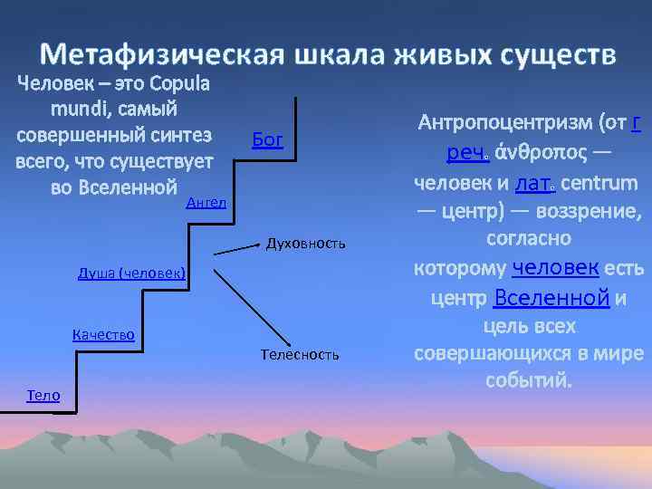 Метафизическая шкала живых существ Человек – это Copula mundi, самый совершенный синтез всего, что