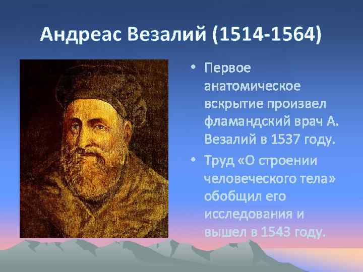 Андреас Везалий (1514 -1564) • Первое анатомическое вскрытие произвел фламандский врач А. Везалий в