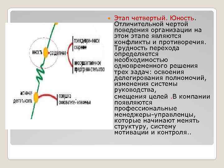 Этап четвертый. Юность. Отличительной чертой поведения организации на этом этапе являются конфликты и противоречия.