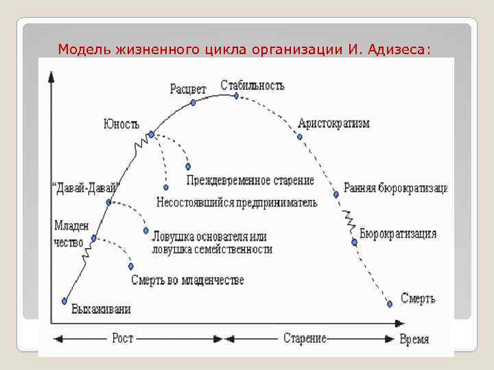 Адизес управление жизненным. Ицхак Адизес модель жизненного цикла. Модель жизненного цикла организации Ицхака Адизеса. Адизес стадии жизненного цикла. Жизненный цикл организации. Модели жизненного цикла организации..