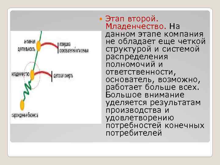  Этап второй. Младенчество. На данном этапе компания не обладает еще четкой структурой и