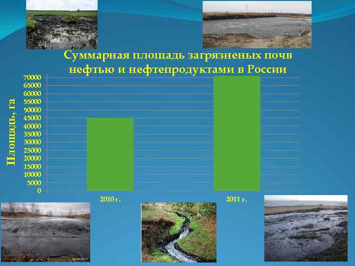 Площадь, га 70000 65000 60000 550000 45000 40000 35000 30000 25000 20000 15000 10000