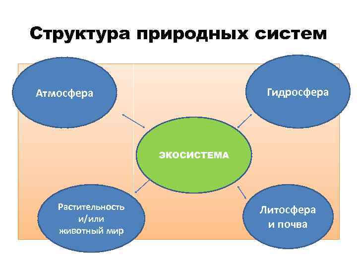 Структура природных систем Гидросфера Атмосфера ЭКОСИСТЕМА Растительность и/или животный мир Литосфера и почва 