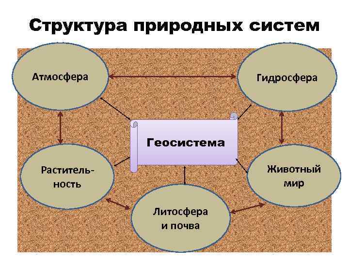 Структура природных систем Атмосфера Гидросфера Геосистема Животный мир Растительность Литосфера и почва 