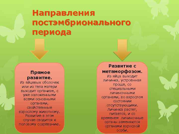 Направления постэмбрионального периода Прямое развитие. Из яйцевых оболочек или из тела матери выходит организм,