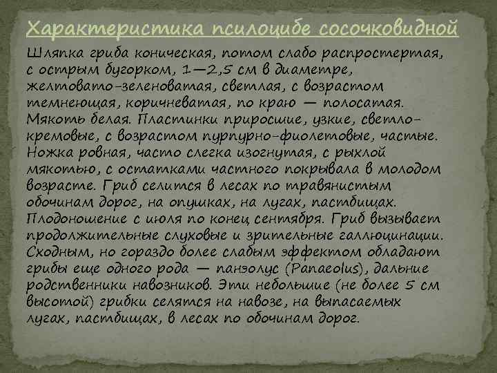 Характеристика псилоцибе сосочковидной Шляпка гриба коническая, потом слабо распростертая, с острым бугорком, 1— 2,