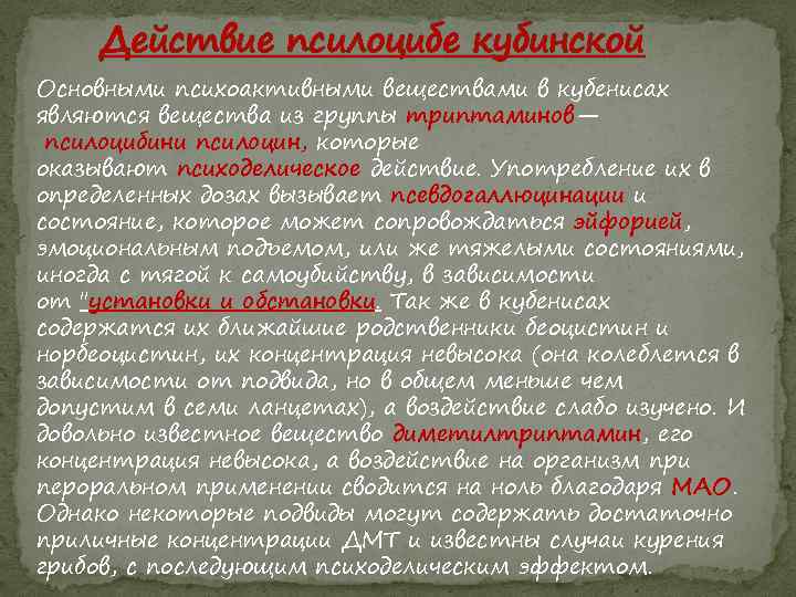 Действие псилоцибе кубинской Основными психоактивными веществами в кубенисах являются вещества из группы триптаминов— псилоцибини