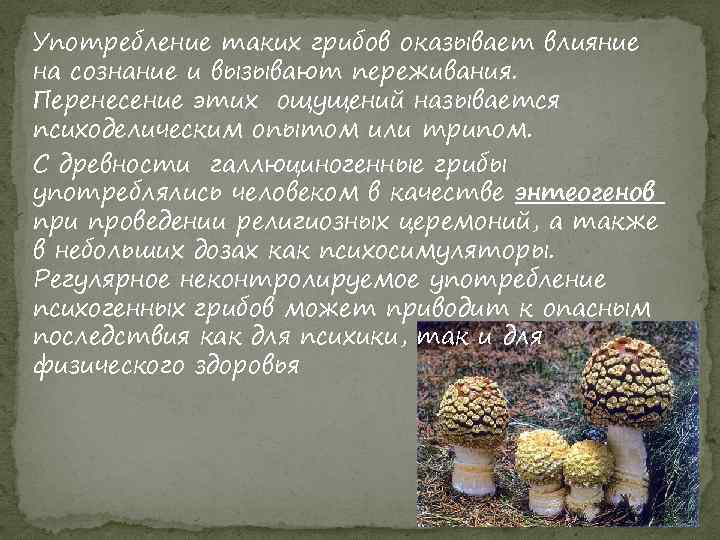 Употребление таких грибов оказывает влияние на сознание и вызывают переживания. Перенесение этих ощущений называется