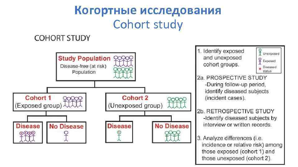 Когортные исследования Cohort study 