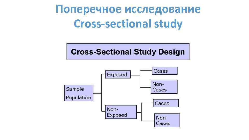 Дизайн поперечного исследования