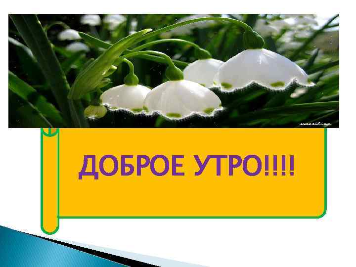 ДОБРОЕ УТРО!!!! 