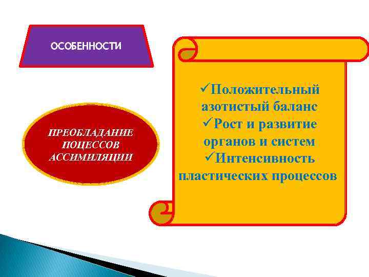 ОСОБЕННОСТИ ПРЕОБЛАДАНИЕ ПОЦЕССОВ АССИМИЛЯЦИИ üПоложительный азотистый баланс üРост и развитие органов и систем üИнтенсивность