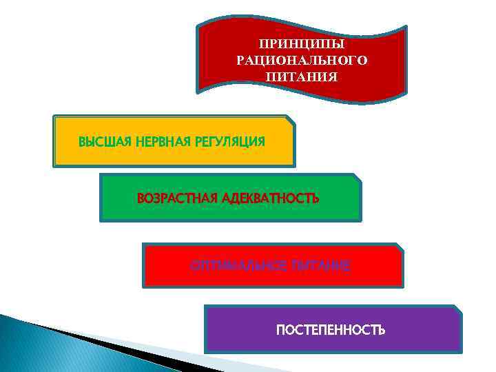 ПРИНЦИПЫ РАЦИОНАЛЬНОГО ПИТАНИЯ ВЫСШАЯ НЕРВНАЯ РЕГУЛЯЦИЯ ВОЗРАСТНАЯ АДЕКВАТНОСТЬ ОПТИМАЛЬНОЕ ПИТАНИЕ ПОСТЕПЕННОСТЬ 