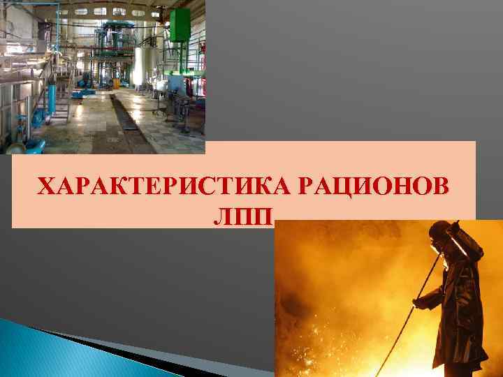 ХАРАКТЕРИСТИКА РАЦИОНОВ ЛПП 