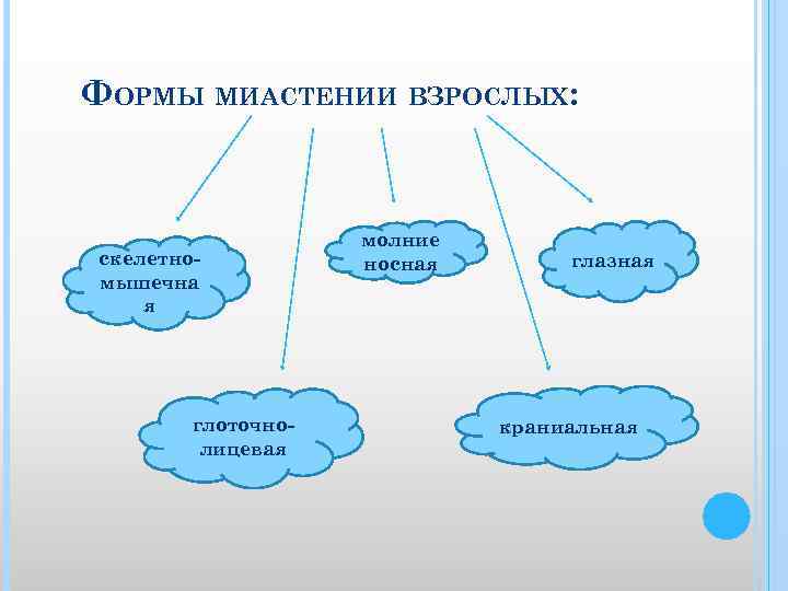 ФОРМЫ МИАСТЕНИИ ВЗРОСЛЫХ: скелетномышечна я глоточнолицевая молние носная глазная краниальная 