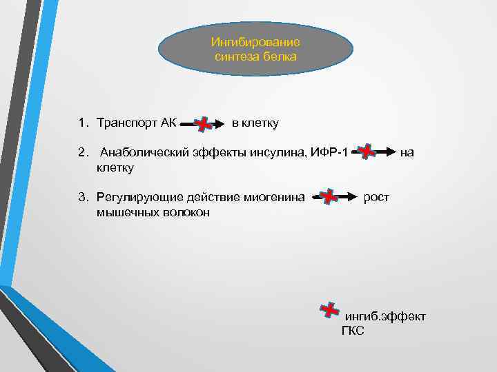 Ингибирование синтеза белка 1. Транспорт АК в клетку 2. Анаболический эффекты инсулина, ИФР-1 клетку