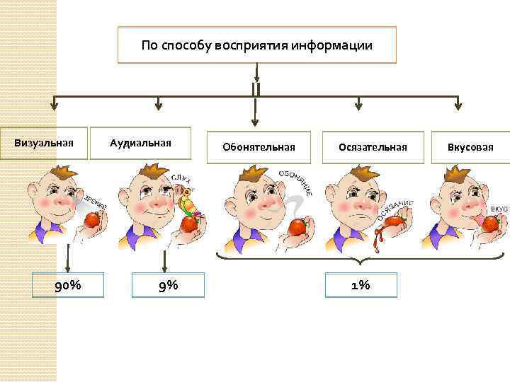 По способу восприятия информации Визуальная 90% Аудиальная 9% Обонятельная Осязательная 1% Вкусовая 