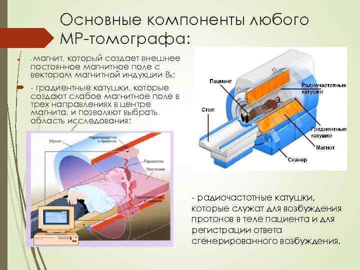 Основные компоненты любого МР-томографа: магнит, который создает внешнее постоянное магнитное поле с вектором магнитной