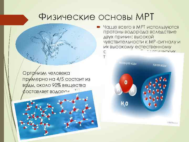 Физические основы МРТ Чаще всего в МРТ используются протоны водорода вследствие двух причин: высокой