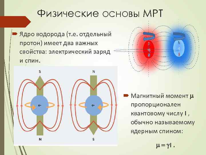 Физические основы МРТ Ядро водорода (т. е. отдельный протон) имеет два важных свойства: электрический