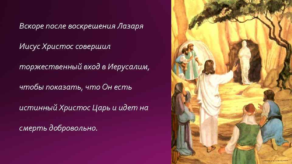 Вскоре после воскрешения Лазаря Иисус Христос совершил торжественный вход в Иерусалим, чтобы показать, что