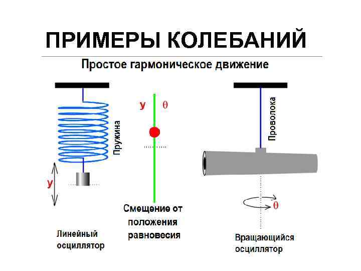 ПРИМЕРЫ КОЛЕБАНИЙ 