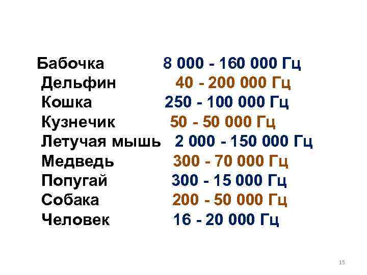 Бабочка 8 000 - 160 000 Гц Дельфин 40 - 200 000 Гц Кошка