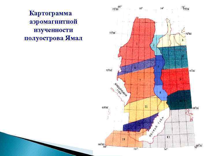 Картограмма аэромагнитной изученности полуострова Ямал 