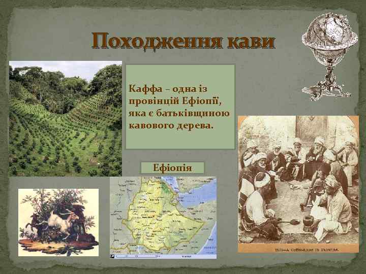 Походження кави Каффа – одна із провінцій Ефіопії, яка є батьківщиною кавового дерева. Ефіопія