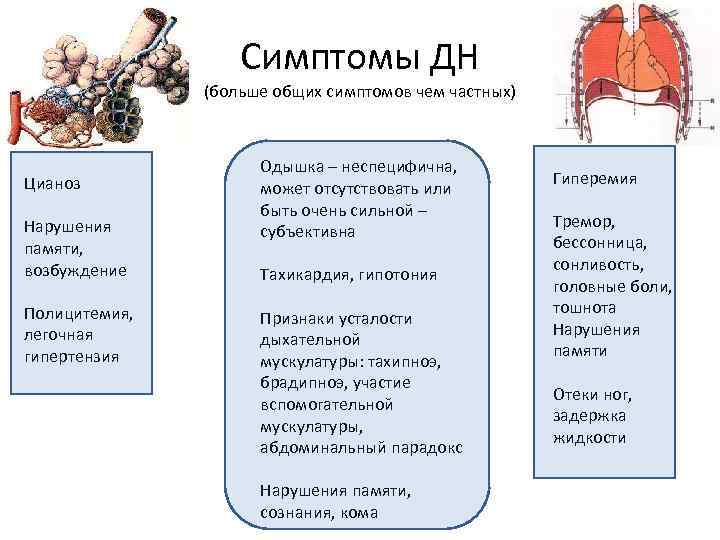 Симптомы ДН (больше общих симптомов чем частных) Цианоз Нарушения памяти, возбуждение Полицитемия, легочная гипертензия