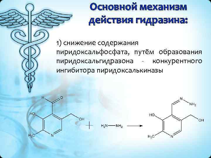 Основной механизм действия. Гидразин механизм действия. Гидразин механизм токсического действия. Гидразин токсикология. Гидразон пиридоксальфосфата.