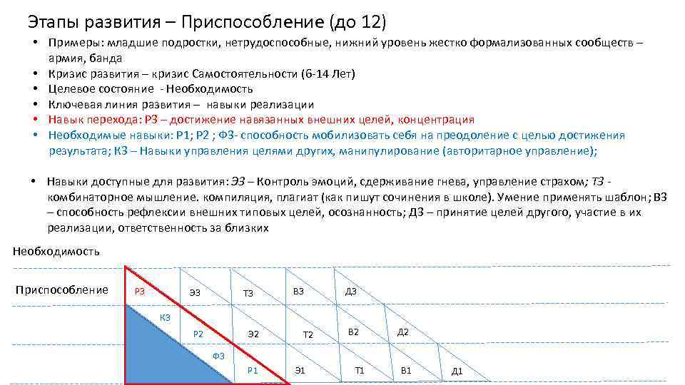 Этапы развития – Приспособление (до 12) • Примеры: младшие подростки, нетрудоспособные, нижний уровень жестко