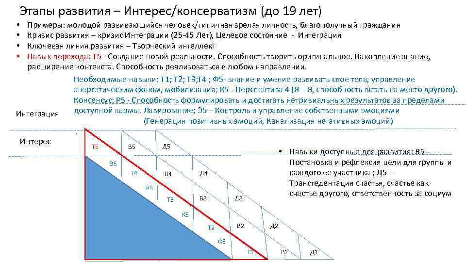 Этапы развития – Интерес/консерватизм (до 19 лет) Примеры: молодой развивающийся человек/типичная зрелая личность, благополучный
