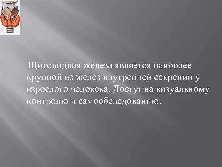 Щитовидная железа является наиболее крупной из желез внутренней секреции у взрослого человека. Доступна визуальному