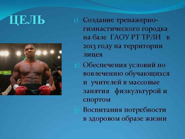 ЦЕЛЬ 1) Создание тренажерногимнастического городка на базе ГАОУ РТ ТРЛИ к 2013 году на