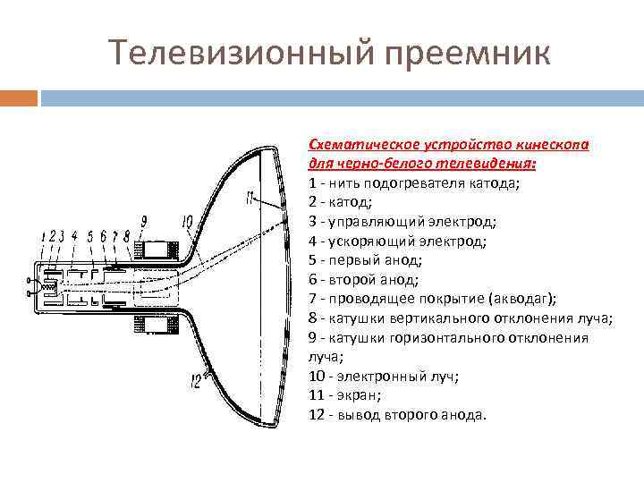 Телевизионный преемник Схематическое устройство кинескопа для черно-белого телевидения: 1 - нить подогревателя катода; 2