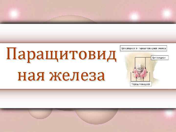 Паращитовид ная железа 