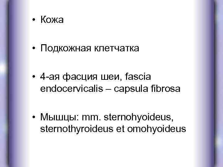  • Кожа • Подкожная клетчатка • 4 -ая фасция шеи, fascia endocervicalis –