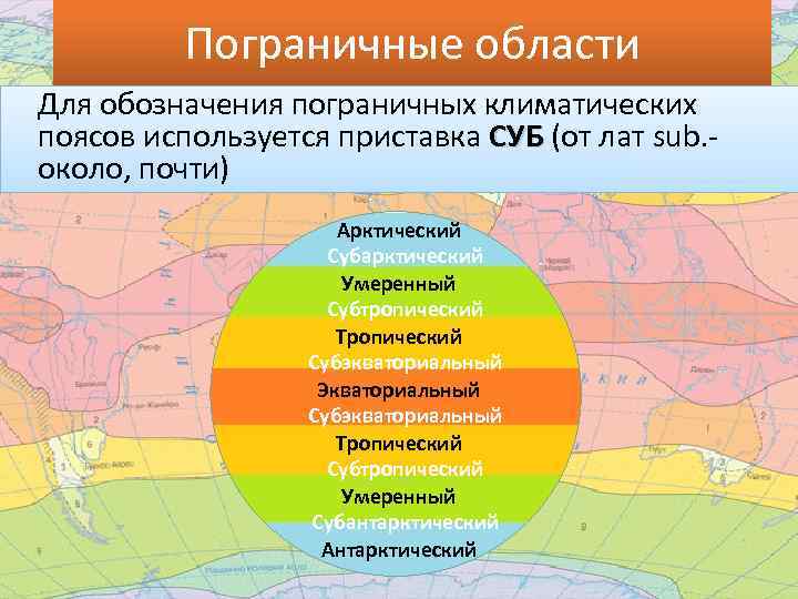 Тропический пояс картинки