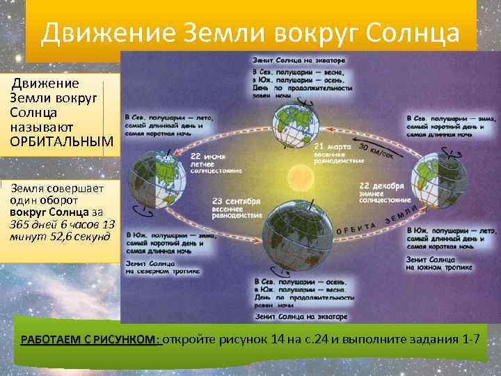 Движение Земли вокруг Солнца называют ОРБИТАЛЬНЫМ Земля совершает один оборот вокруг Солнца за 365
