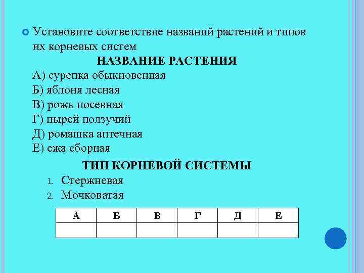  Установите соответствие названий растений и типов их корневых систем НАЗВАНИЕ РАСТЕНИЯ А) сурепка