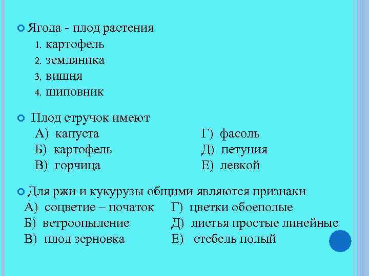  Ягода - плод растения картофель 2. земляника 3. вишня 4. шиповник 1. Плод