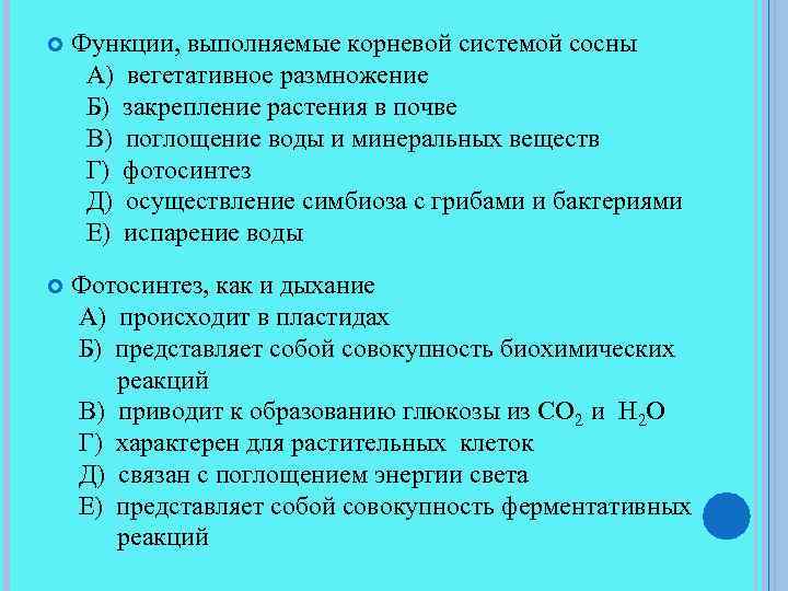  Функции, выполняемые корневой системой сосны А) вегетативное размножение Б) закрепление растения в почве