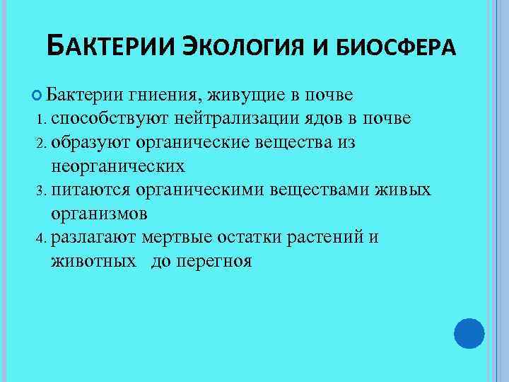 БАКТЕРИИ ЭКОЛОГИЯ И БИОСФЕРА Бактерии гниения, живущие в почве способствуют нейтрализации ядов в почве